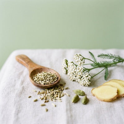 Fenchel, Kardamom und Ingwer