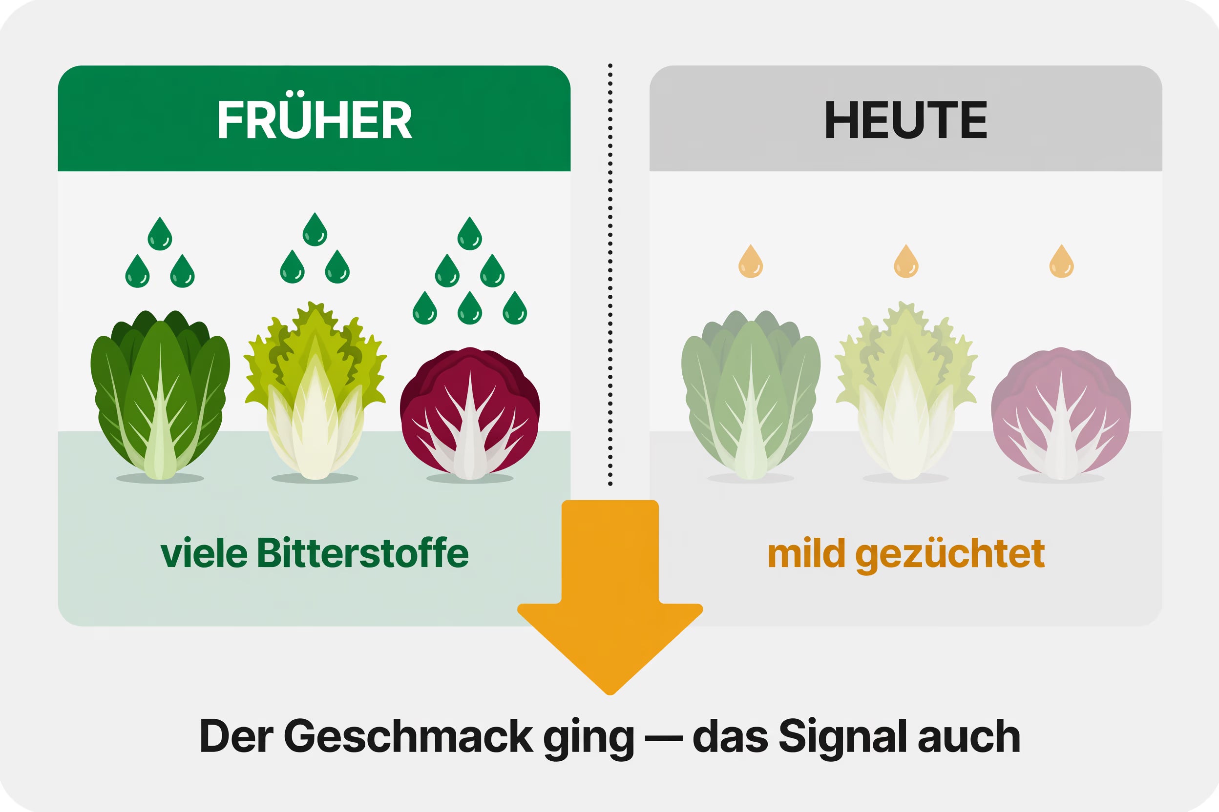 Mild gezüchtet — und das Signal ging mit.