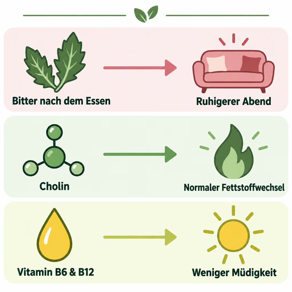 Infografik: Bitterstoffe, Cholin und B-Vitamine und ihre Rolle im Stoffwechsel
