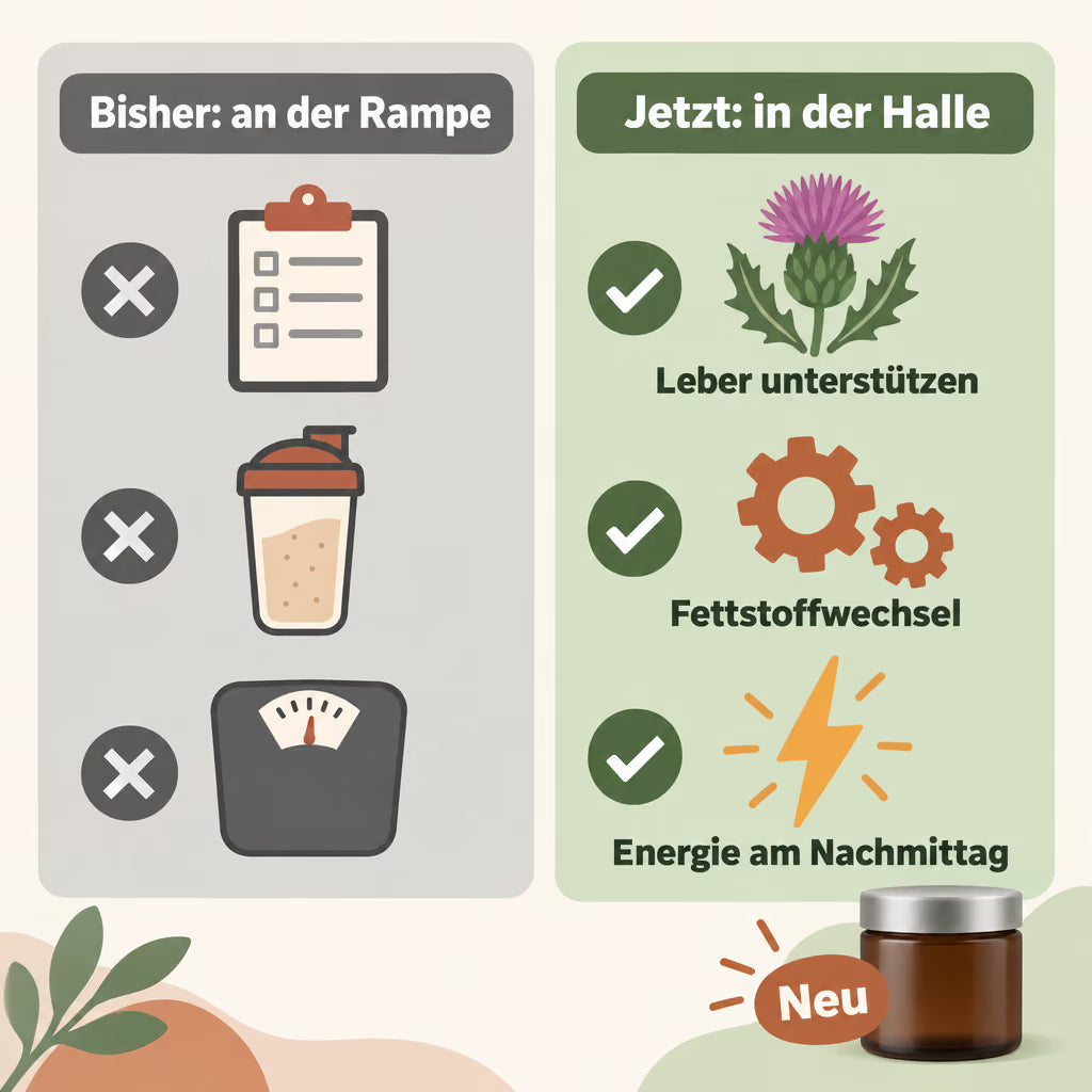 Infografik: Vergleich bisheriger Wege an der Rampe mit drei Hebeln in der Halle – Leber, Fettstoffwechsel, Energie