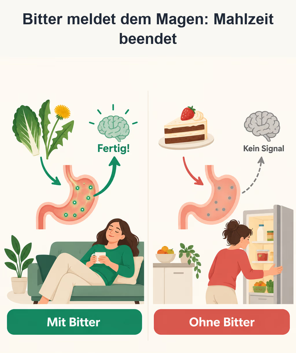 Bitter dockt im Magen an und meldet „Mahlzeit beendet“ – der Heißhunger ist aus.